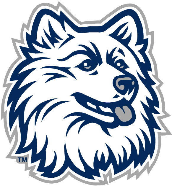 UConn Huskies 1996-2012 Alternate Logo v2 iron on transfers for fabric
